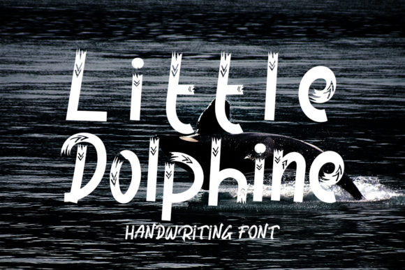 Little Dolphine Display Font for Web Design Projects